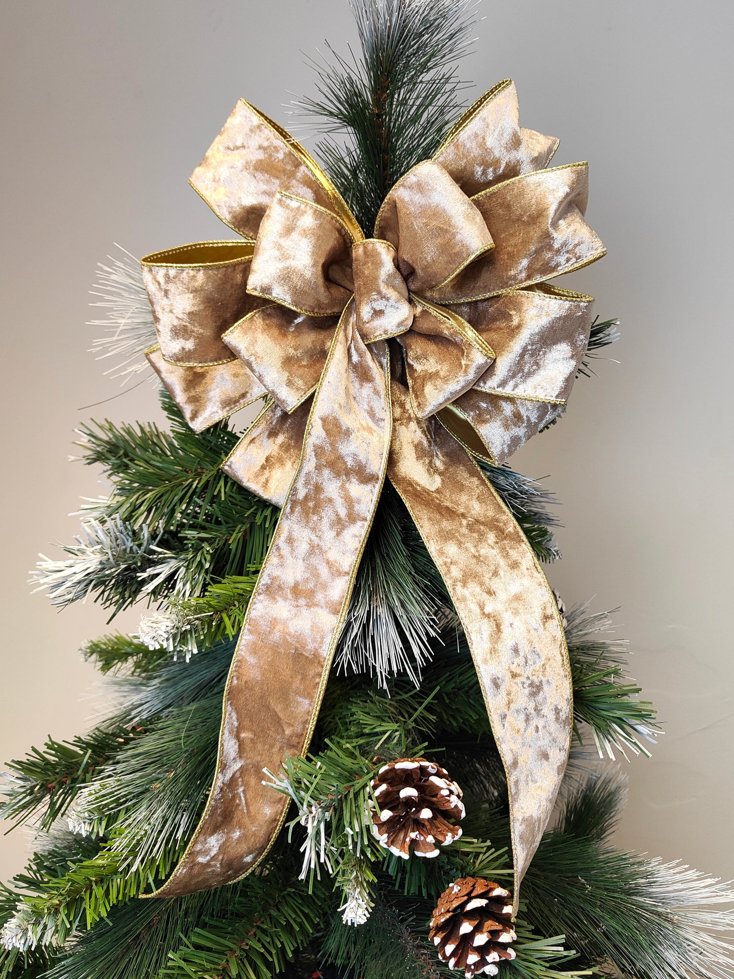 Deluxe Beige and Gold Velvet Bow