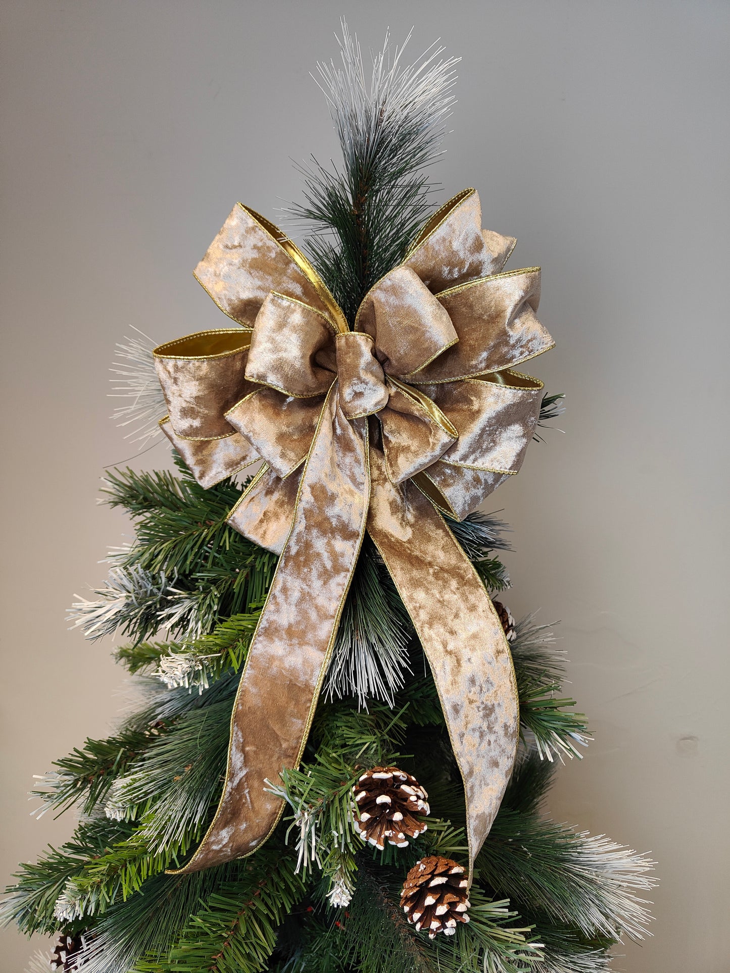 Deluxe Beige and Gold Velvet Bow